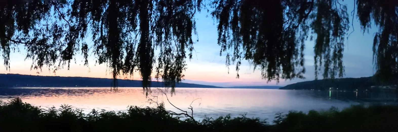 Stephanie L. Orstad, PhD banner