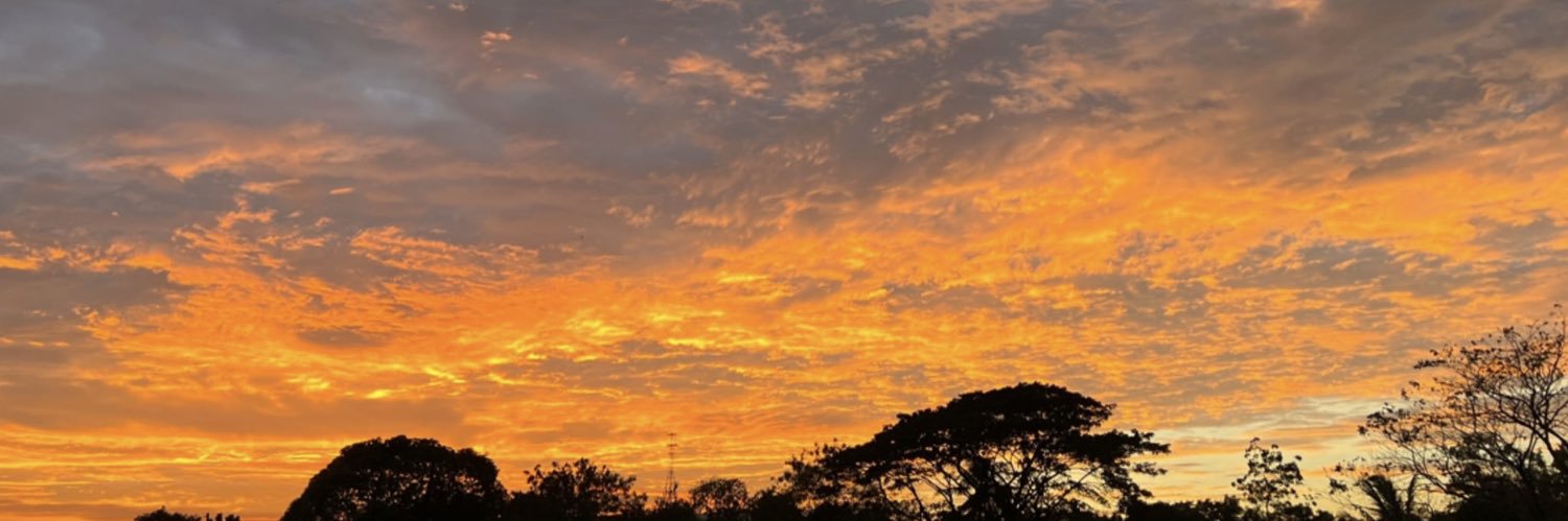 samfoja's profile banner image