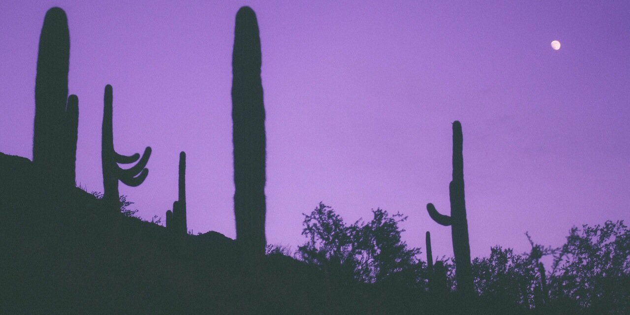 Marc_MjH's profile banner image