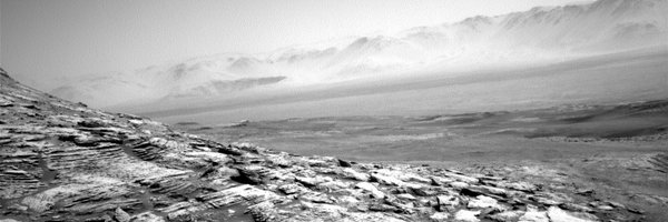 AmericanSadAss Profile Banner