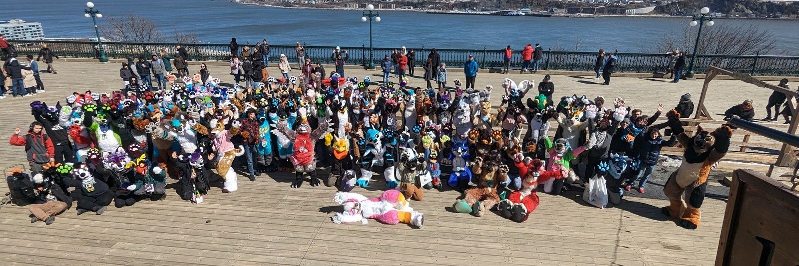 ★Fluffy dumbfuck★ banner