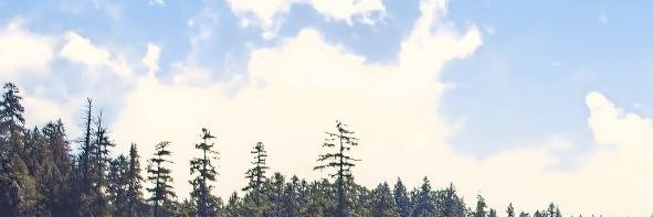 Selemaannm's profile banner image