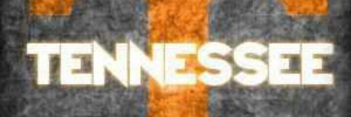 _shellllfish's profile banner image