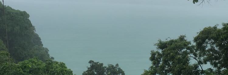 نوف الدوسري banner