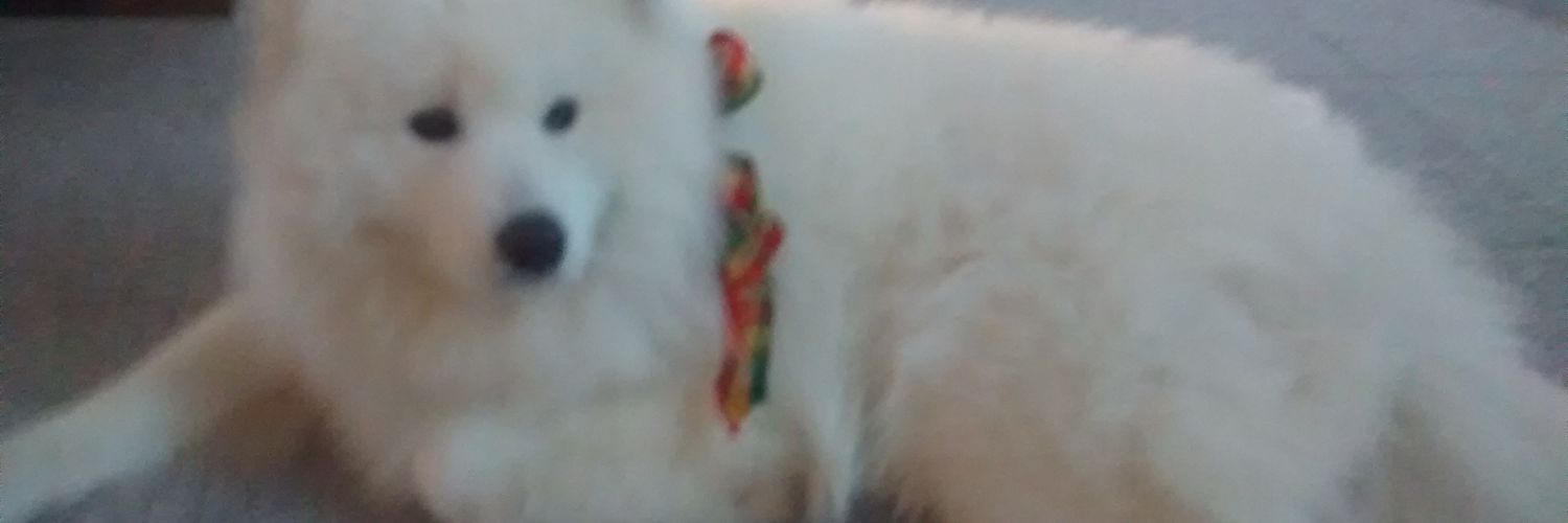 Meynethh's profile banner image