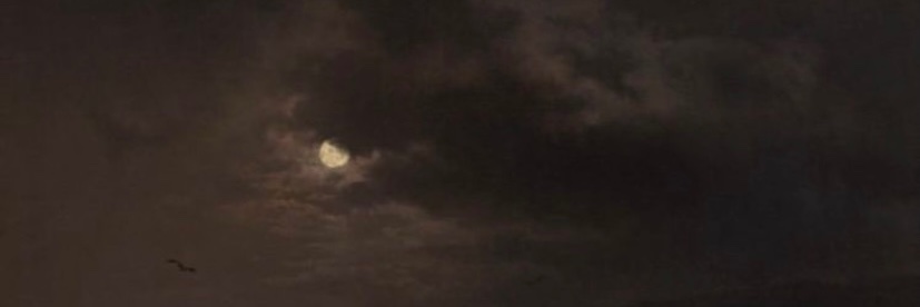 8__lii's profile banner image