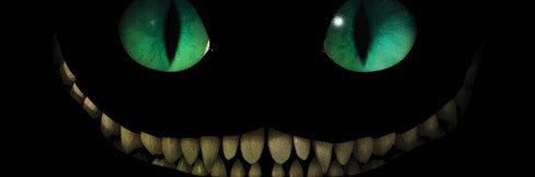 Тимур Магомедов banner