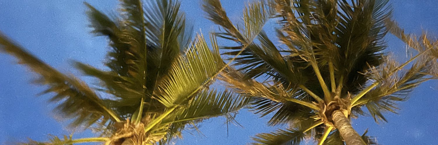 brmanchi's profile banner image