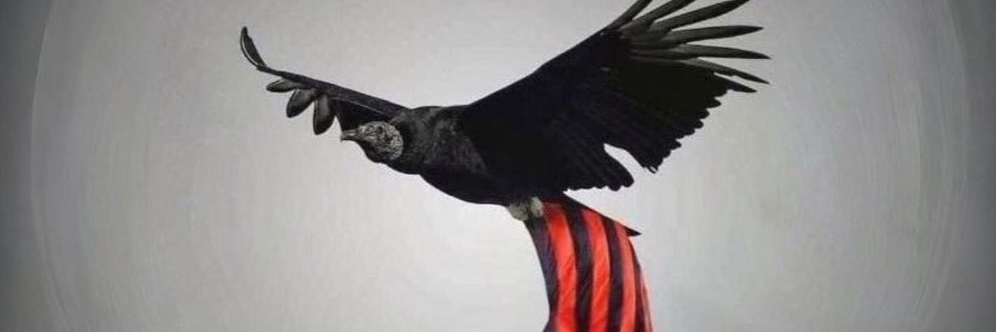 brizzante7's profile banner image