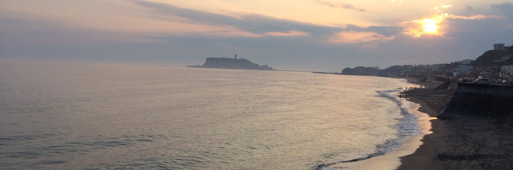 bigbigbigflower's profile banner image