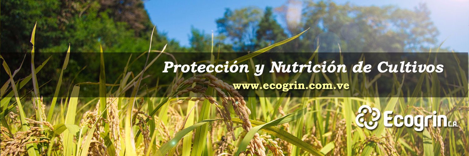 ecogrinca's profile banner image