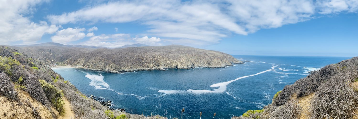 Pamela González Tornero banner