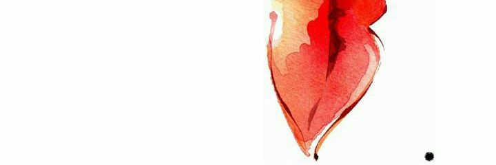 MjorTorres's profile banner image