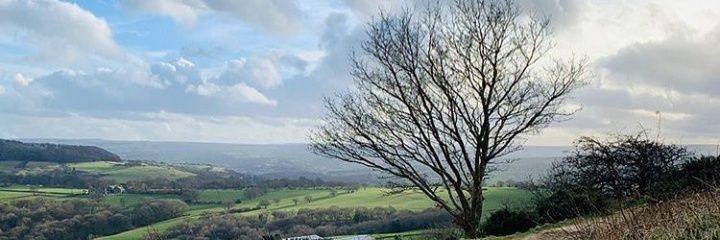 Vandaygee's profile banner image
