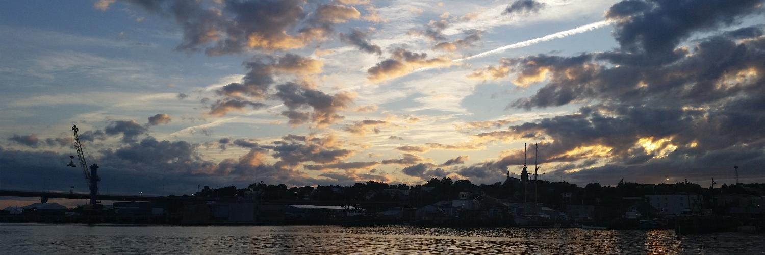 Elizabeth Hood banner