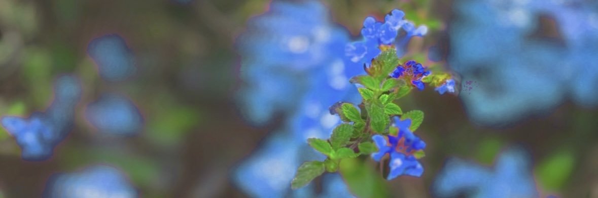 20092009k's profile banner image