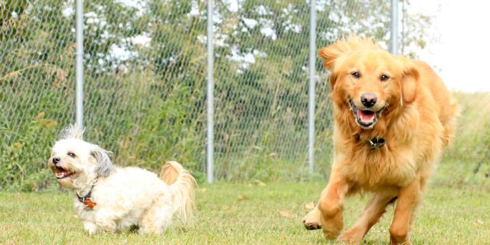 Debbie Stearns 🇨🇦 banner
