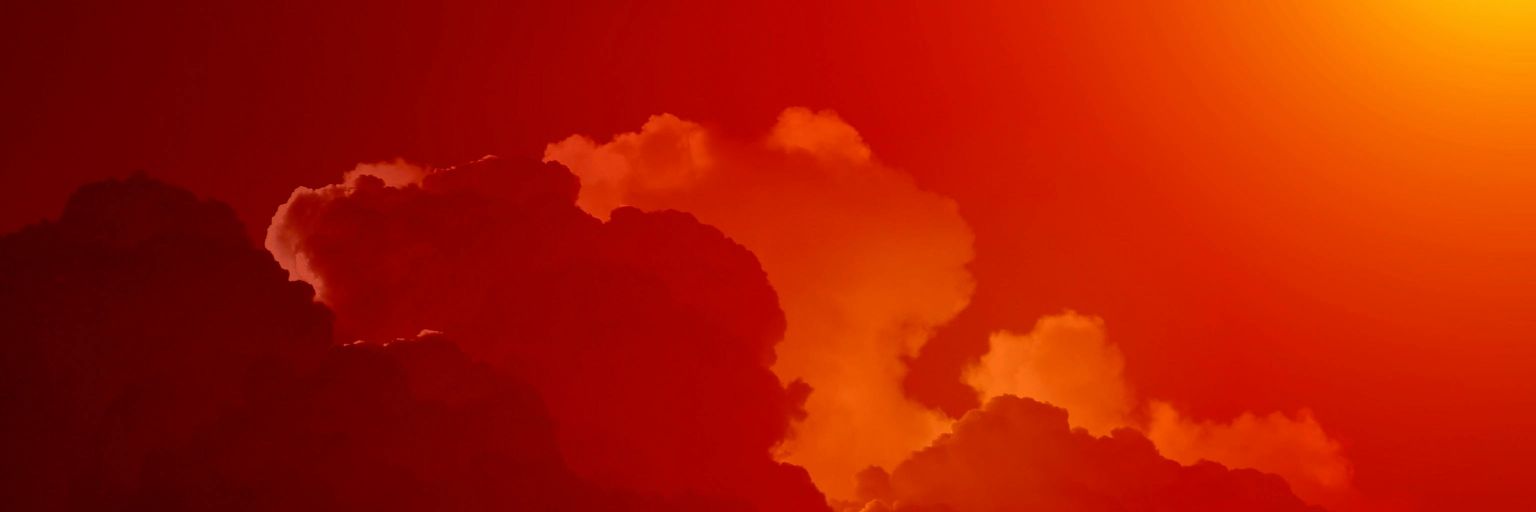 snaillbs's profile banner image