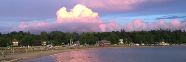 Carrie Webb Coene banner