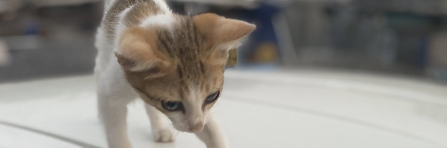babagby's profile banner image