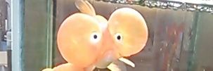 kingyo8_mo21's profile banner image