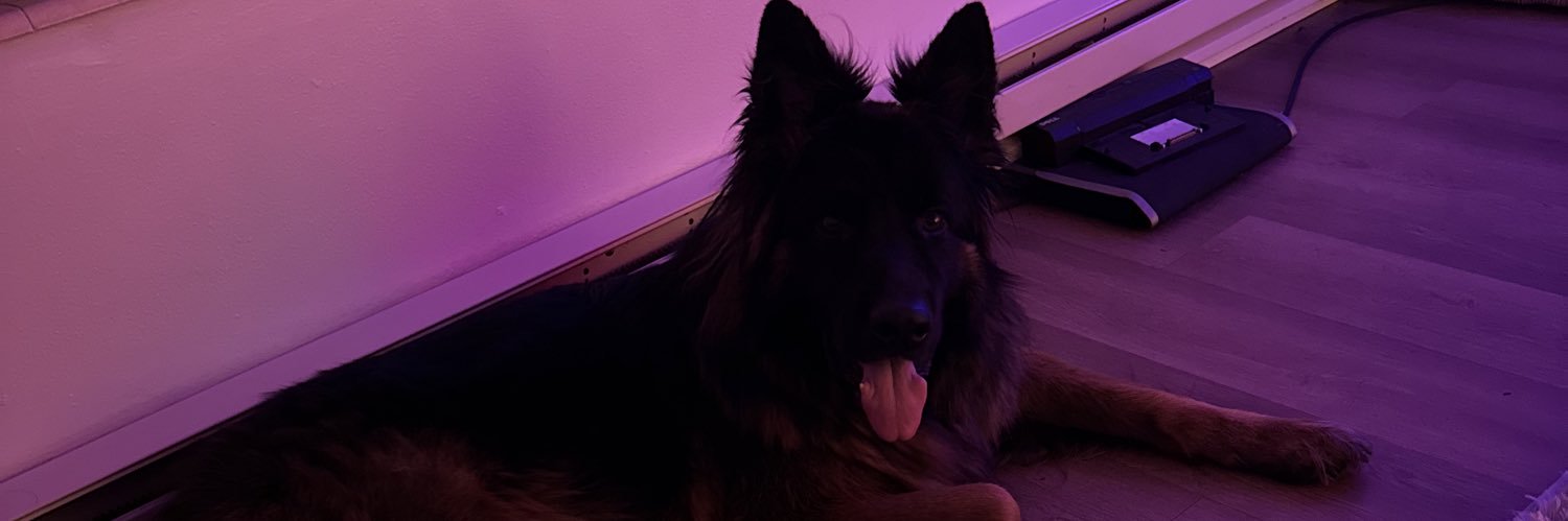 El Curry banner