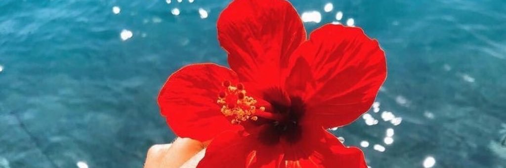 madeehx3's profile banner image