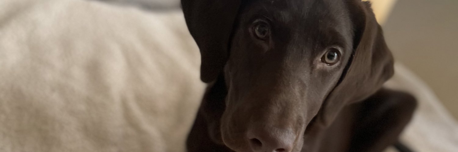 queentots_'s profile banner image
