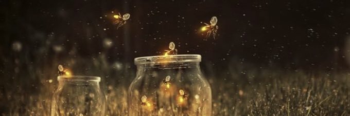 fpl_firefly's profile banner image