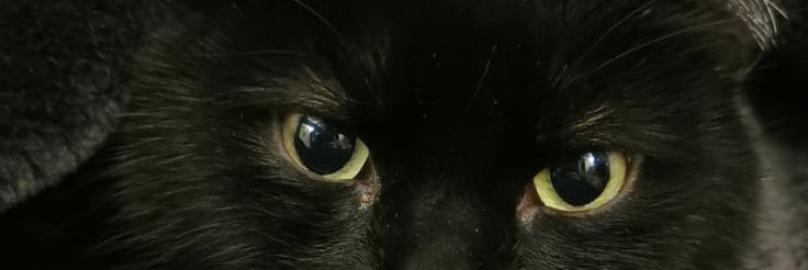 Jamjar1992's profile banner image