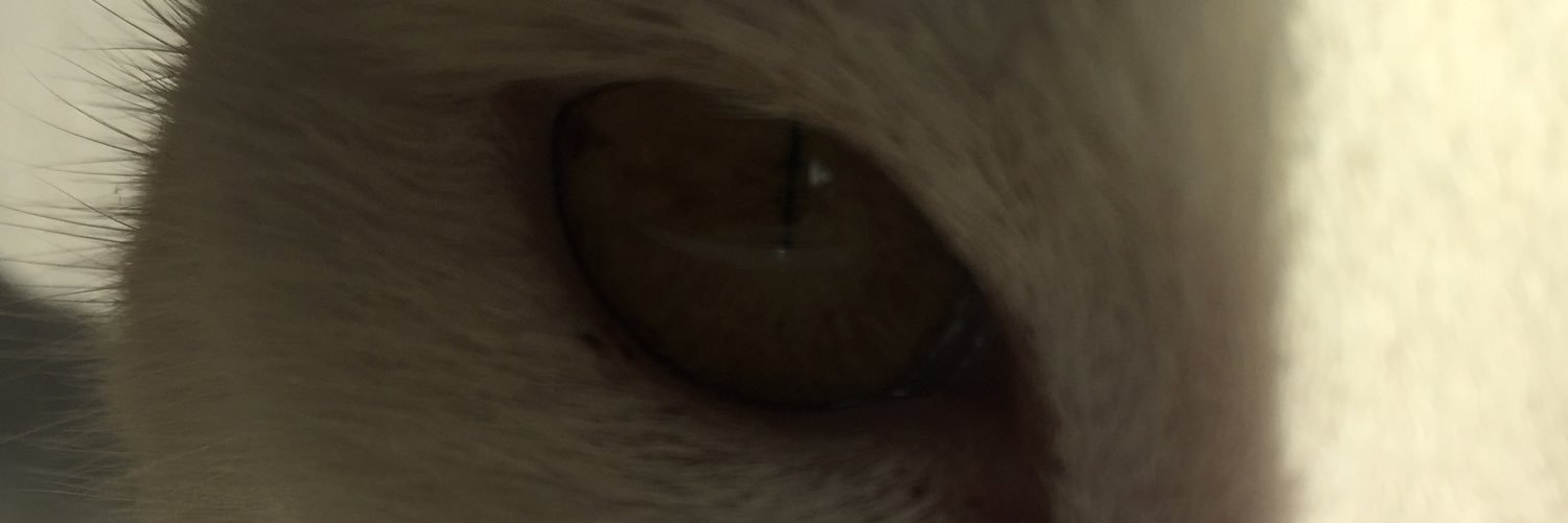 httpjoedith's profile banner image