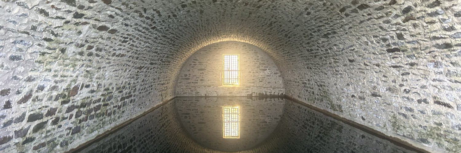 Marie-Sophie Houis banner