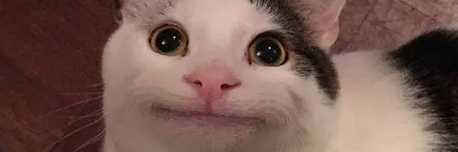 cryptodude_95's profile banner image