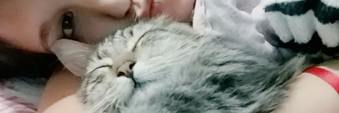 AgusSolangev's profile banner image
