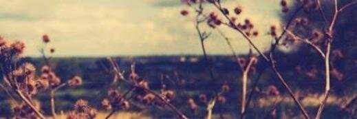 Srta_Internet's profile banner image
