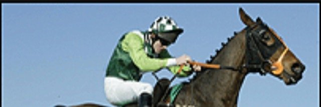 david winzer banner