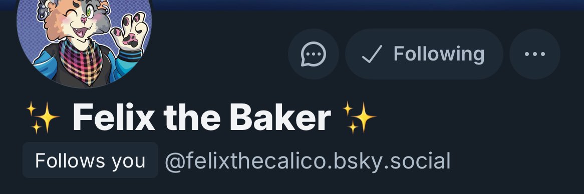 FelixtheCalicow's profile banner image