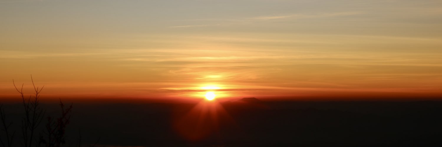 grittywen's profile banner image