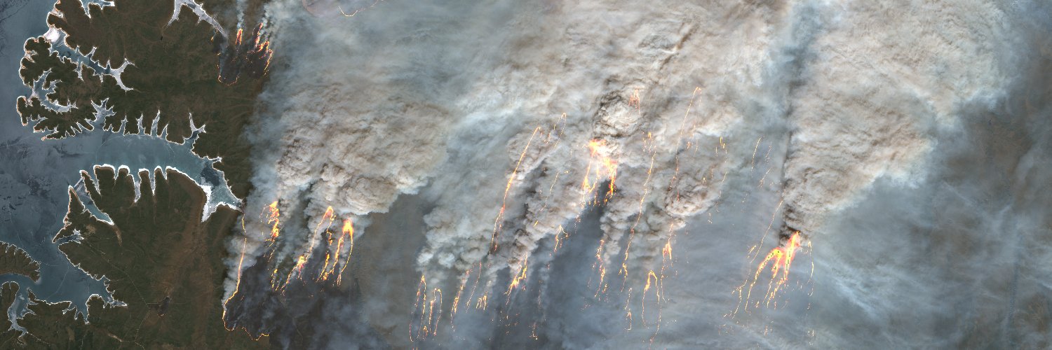 Pauguarque's profile banner image