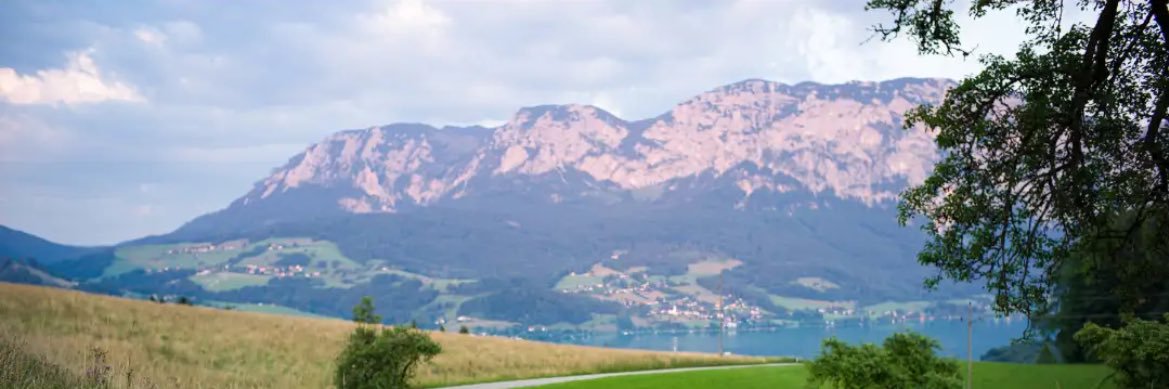 sufiasinglee's profile banner image