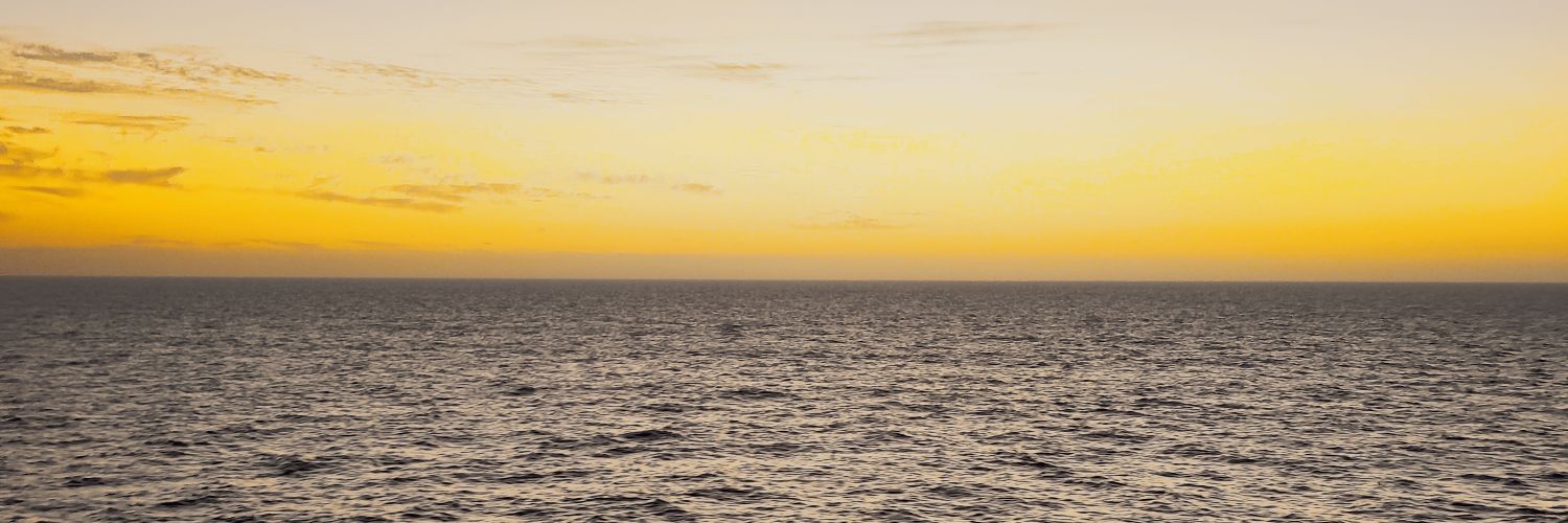 Camilleriant's profile banner image