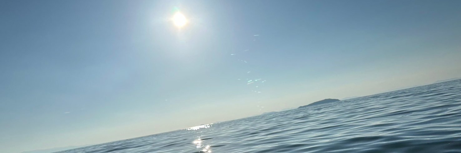 bbsho316's profile banner image