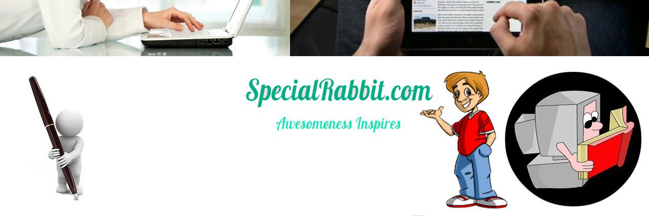 RabbitSpecial's profile banner image