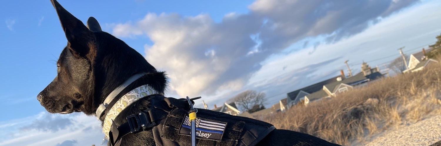 melanielaborda's profile banner image