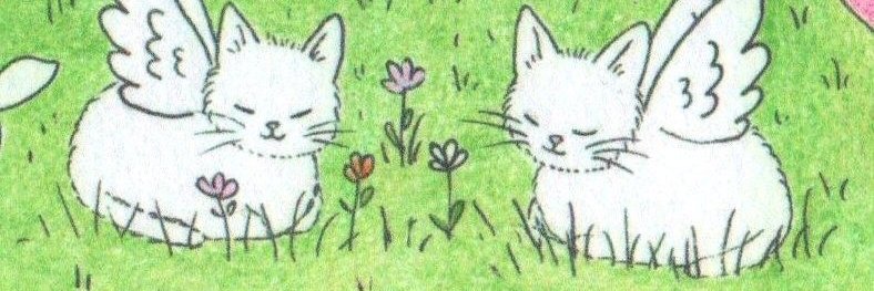 𑣲⋆ banner