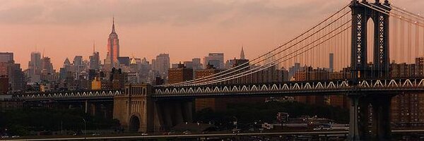 SapioIntelect Profile Banner