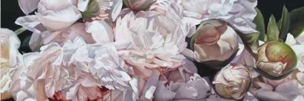 sandroburcio's profile banner image