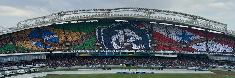 𝕭arbie 𝕽emista 🅰️🦁 banner