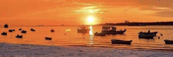 adrian8rosado's profile banner image