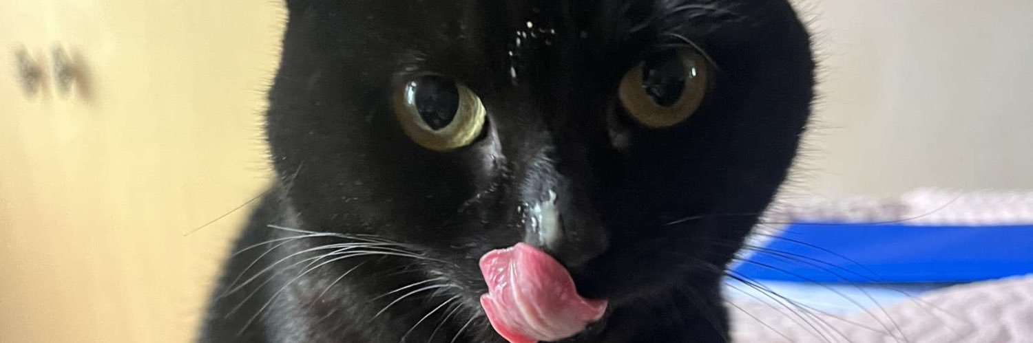 itsamyprobably banner